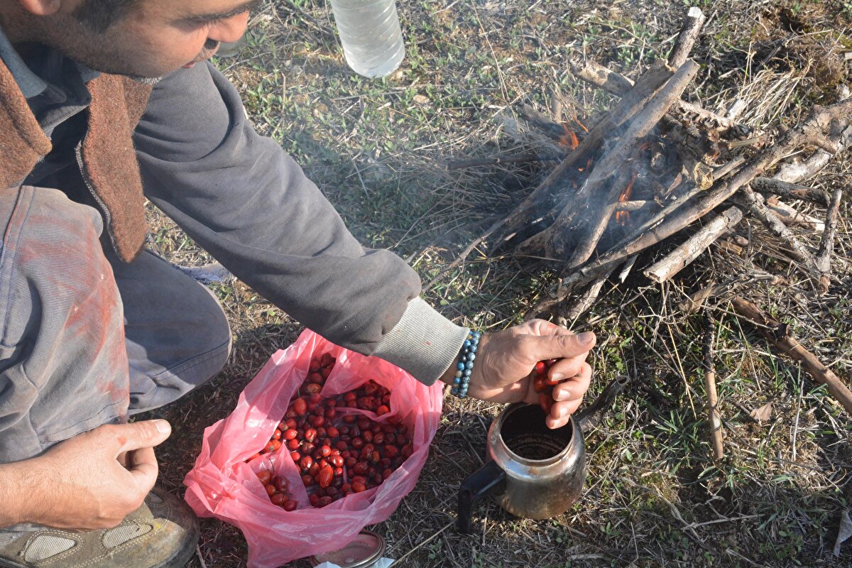  Zaten onlar da sevdiler, ilgi duyuyorlar. Bu arada kendimi de garantiye almak için koyunların hepsine de sigorta yaptırdım. Bütün üreticilere de bunu tavsiye ediyorum. Çünkü, vahşi hayvan saldırısı olabilir, doğal afetler olabilir, bunlara karşı da kendimi bu şekilde korumaya aldım. Köyde doğal yaşama kavuştum. Her şeyiyle organik besleniyorum. Koyunları meraya otlatmaya çıkarttığımda özellikle öğle yemekleri sırasında doğadan topladığım kuşburnuları ile çay demliyor, bolca c vitamini alıyorum. Salgının olduğu bu dönemlerde doğal beslenmek, organik beslenmek gerçekten keyif verici” dedi.