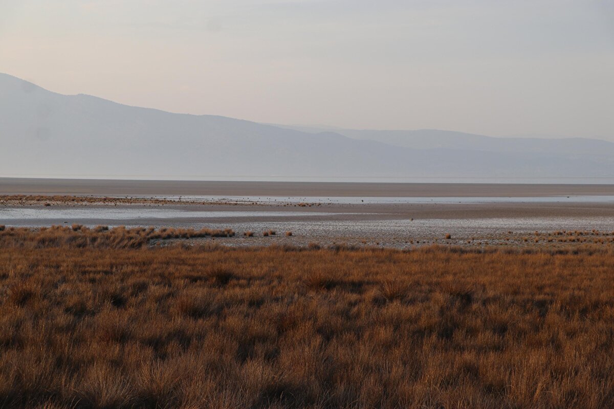 1970 yılına kadar 160 kilometrekare olan göl alanı, zamanla yağışların azalması, içme ve sulama amacıyla kontrolsüz açılan kuyuların da etkisiyle 42 kilometrekareye kadar düştü. Yaşanan kuraklık nedeniyle gölün Başmakçı ve Çardak ilçeleri bölümünde su yer yer 1 kilometreye kadar çekildi. Kuraklık nedeniyle suları azalan B sınıfı Sulak Alan olarak koruma altında olan ve flamingolar başta olmak üzere göç eden 200'e yakın farklı kuş türüne ev sahipliği yapan Acıgöl için tehlike çanları çalmaya başladı.

