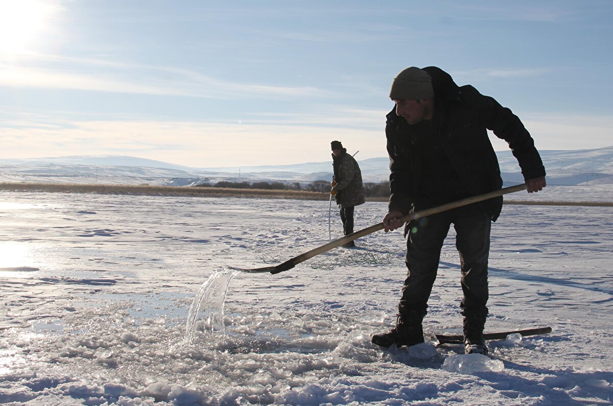 Kazma kürekle buz tabakasını kırıp, gölün içerisine atılan ağlara takılan balıklar çıkartılarak çevre il ve ilçelere satılıyor.