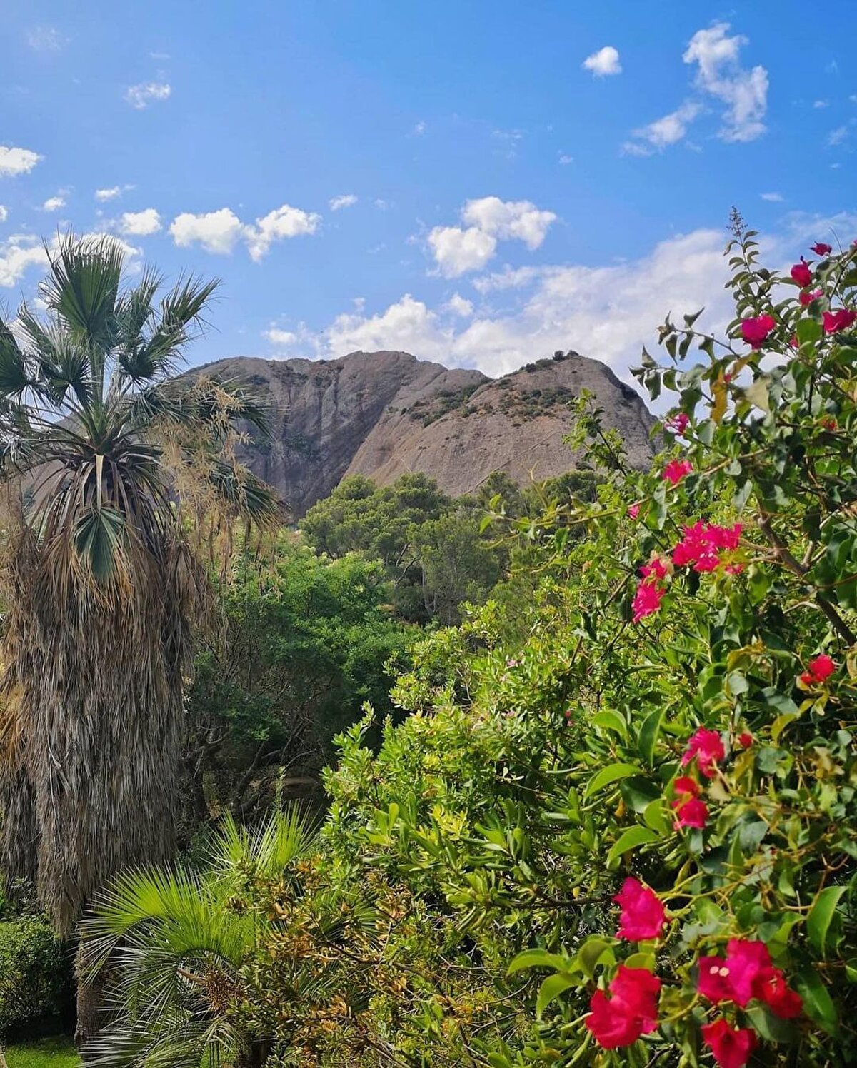 Marsilya, İstanbul gibi bir bakıma da İzmir gibi çok dilliliğin çok kültürlülüğün önemli merkezlerinden biridir. Bu kozmopolit yapının tüm kanıtlarını, şehri oluşturan eşsiz mimarisinde de gözleyebilirsin.⠀