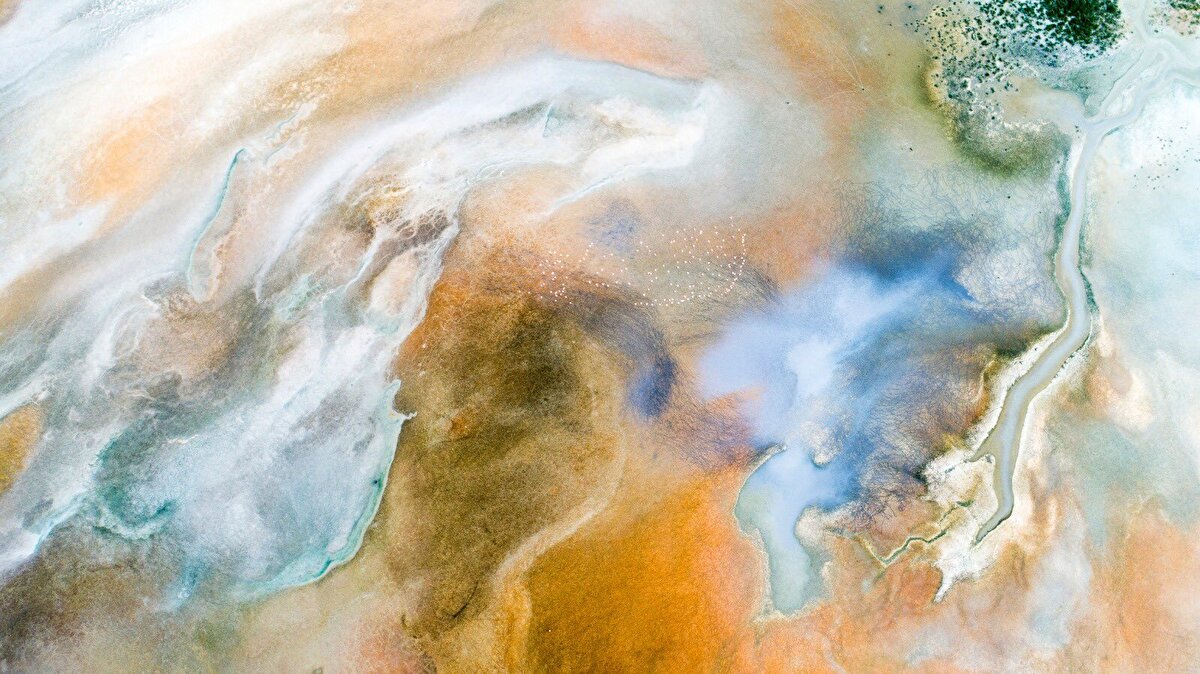 Göller Bölgesi'nin merkezi Burdur'un Yeşilova ilçesi sınırlarında yer alan 1463 hektar büyüklüğündeki Yarışlı Gölü, her yıl binlerce kuşu misafir ediyor.