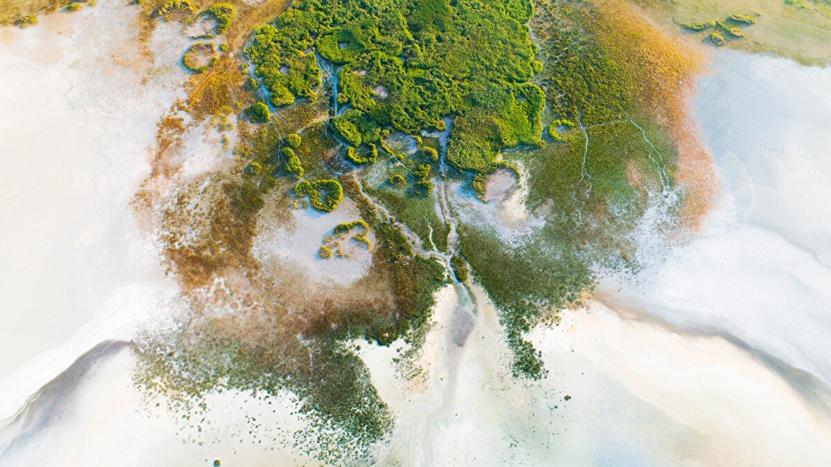 Başta flamingolar olmak üzere angıt, uzunbacak, kılıçgaga, düdükçün ve kumkuşları gibi toplamda 141 türden binlerce kuşu görmenin mümkün olduğu Yarışlı Gölü’nün drone görüntüleri hayran bıraktı.