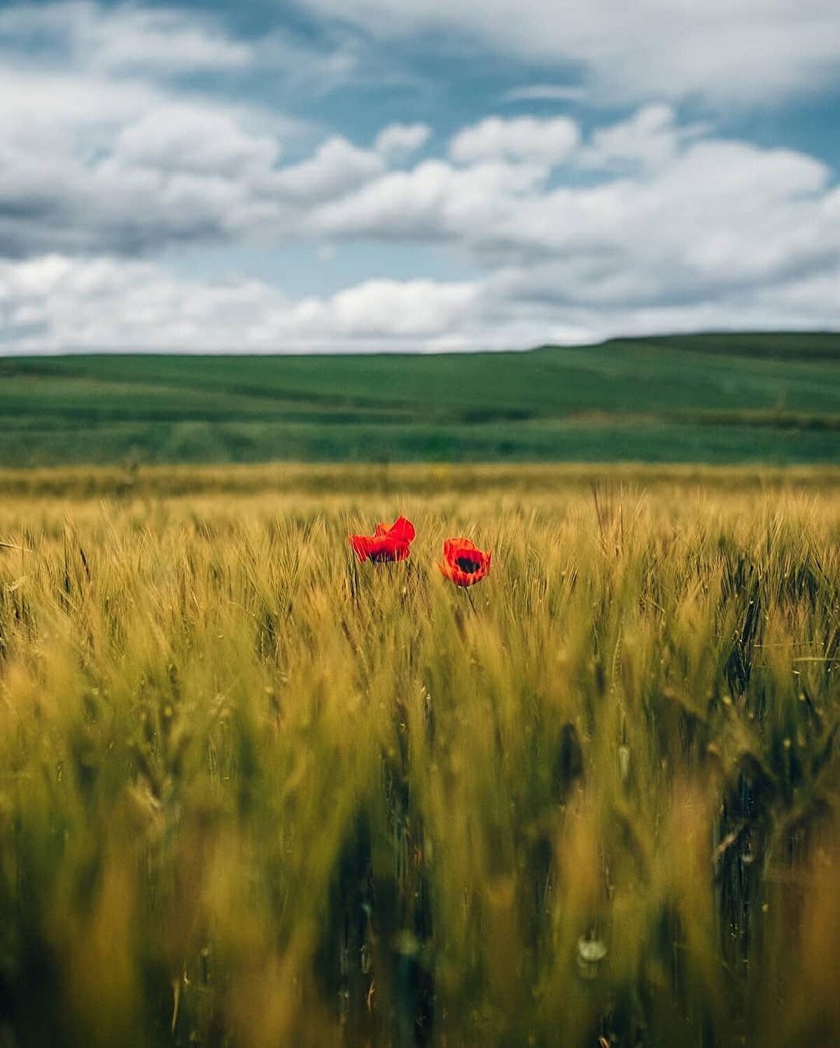 🍃 Karadeniz Bölgesi’nin Orta Karadeniz bölümünde yer alan il, en eski çağlardan beri insanoğlunun yerleşim yeri olarak kullandığı bir alan olmuş. Kadim Hititlerin başkenti Hattuşaş da Çorum ilinde. Biz bugün Çorum’da ne yeni ve gezerken ne dinlenir meselesini açıklığa kavuşturmaya geldik.⠀