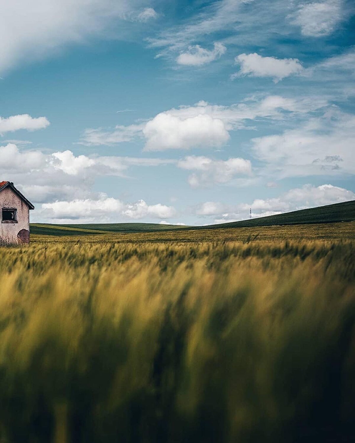 ‘Dinlemeden gezme’ listesi: Gayrı dayanamam ben bu hasrete, Zeki Müren. Şu uzun gecenin gecesi olsam, Aysun Gültekin. Kara kaş boyanır mı, Hüseyin Turan. Kayayı gırcı tuttu, Sümer Ezgü⠀