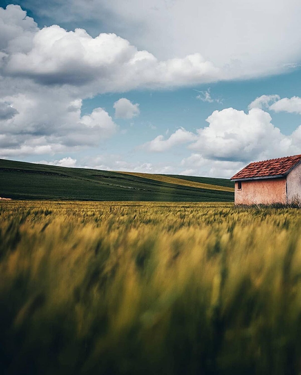 ‘Yemeden dönme’ listesi: İskilip Dolması, Sırık Kebabı, Hingal Mantısı, Çorum Leblebisi, Helle aşı, Bulgur aşı, Düğül aşı⠀