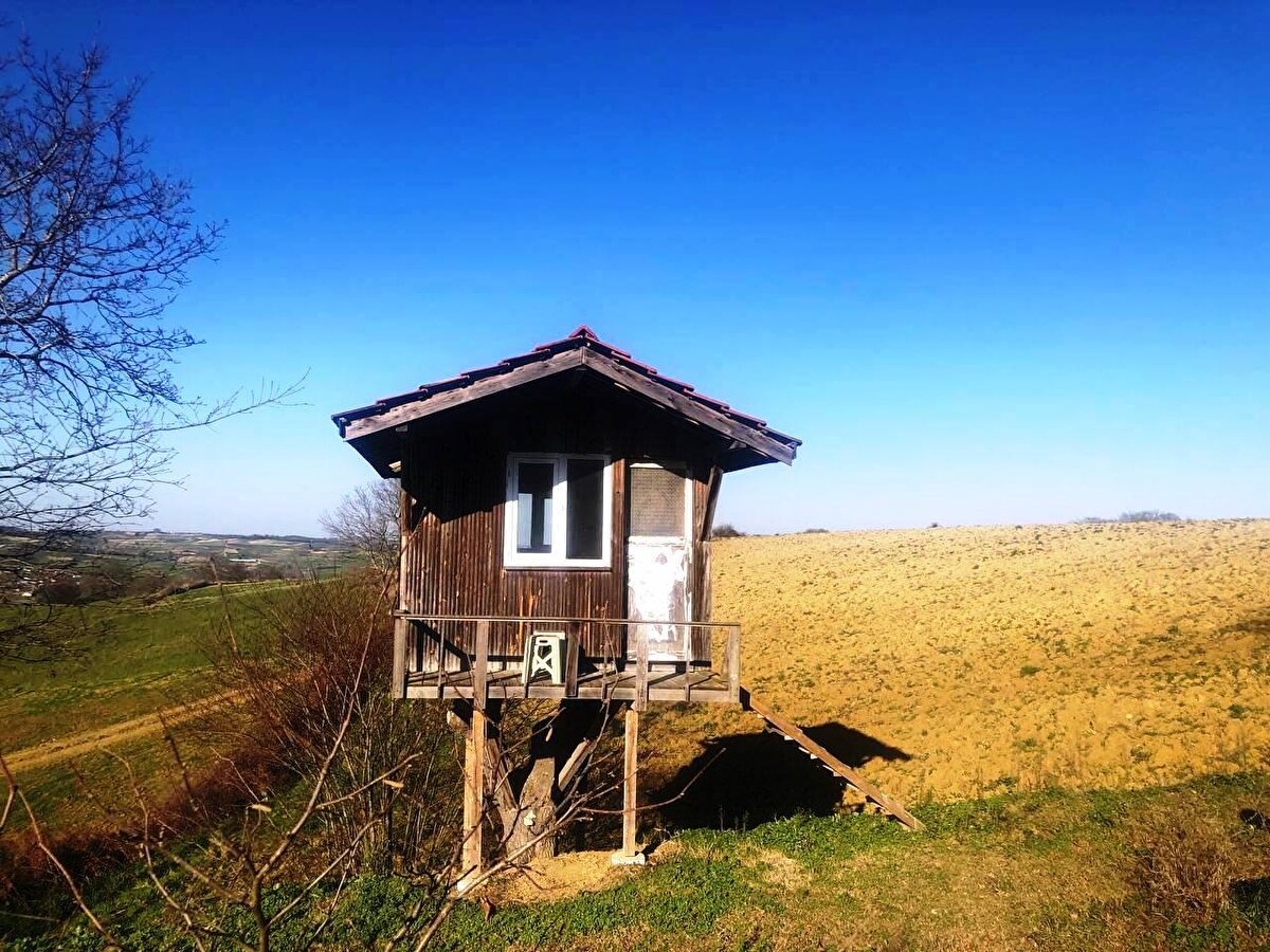 Fındık bahçesine geldiğinde ağaç evde zaman geçiren Erdoğan Özmen, doğayla iç içe olmanın kendisine huzur verdiğini ve rahatlattığını söyledi.