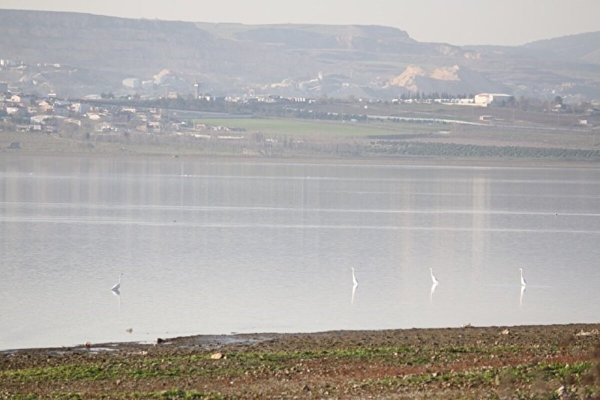 5 Ocak 2020 yılında 339 milyon metreküp su bulunan barajlarda bu rakam bugün itibariyle 171 milyon seviyesine kadar indi.