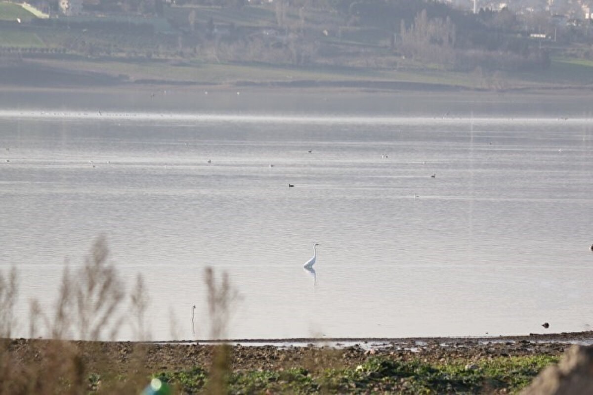 Suların yüzlerce metre çekildiği alanda çorak arazi ortaya çıktı. Suların çekilmesi ile birlikte göl içerisinde yeni kıyı seti de oluştu.