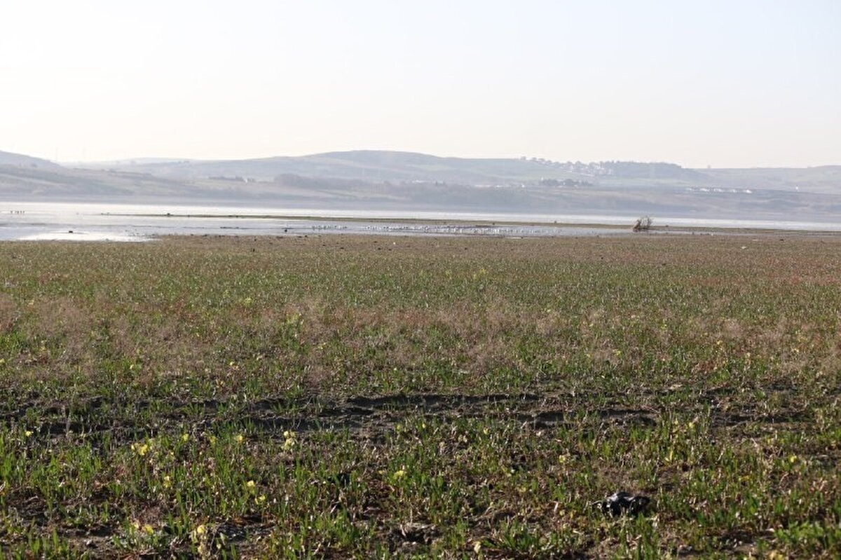 Öte yandan gölde su doluluk oranı son 13 yılın en düşük seviyesi olan yüzde 17’ye kadar düştü. Bu oran 2020 yılında 34.64, 2019 yılında yüzde 95.02, 2018 yılında yüzde 51.79, 2017 yılında yüzde 34.48, 2016 yılında 42.02, 2015 yılında 48.06, 2014 yılında ise 32.62 olarak kayda geçmişti.