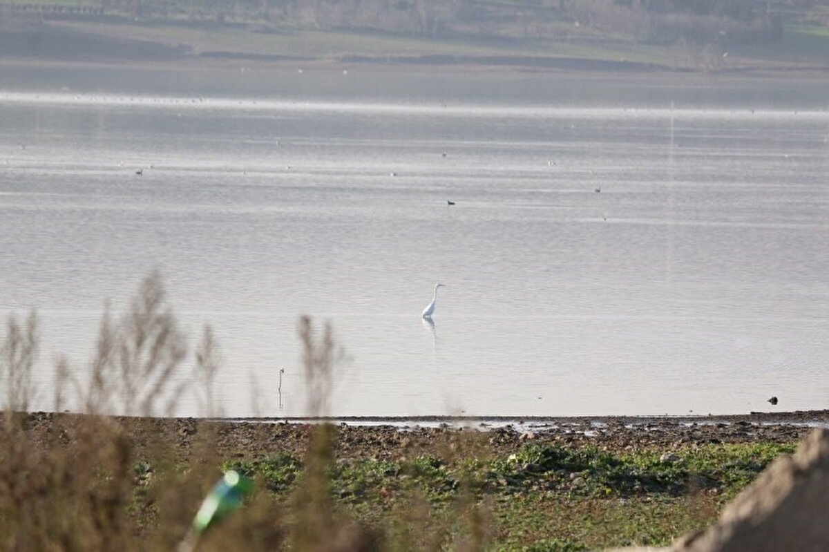 İstanbul’un diğer su kaynaklarında son durum ise şöyle açıklandı:
Ömer 16.27, Pabuçdere 4.18, Sazlıdere 5.33, Alibeyköy 29.58, Terkos 20.46, Kazandere 6.37, Elmalı 22.98, Darlık 45.88, Istrancalar 25.58.