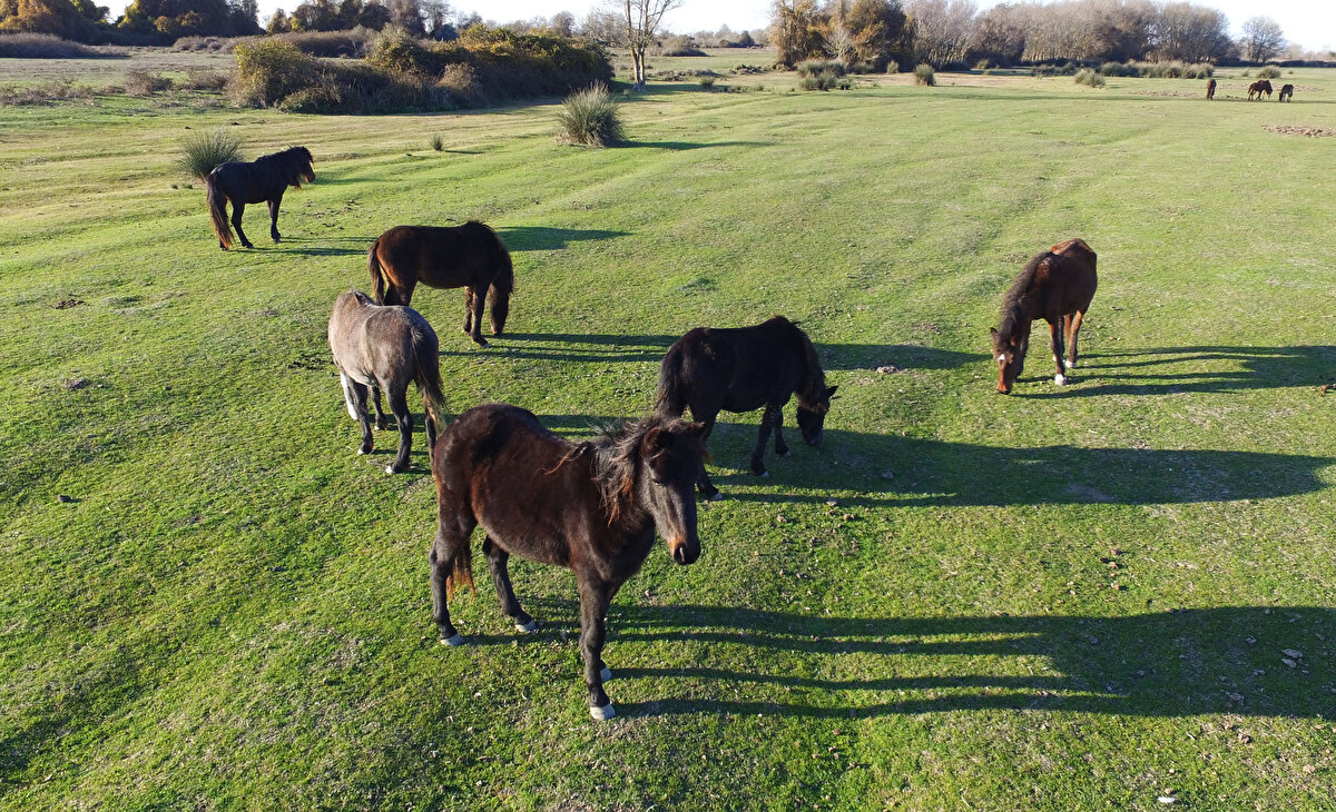 19 Mayıs Belediye Başkanı Osman Topaloğlu, yaptığı açıklamada, Cumhurbaşkanlığı tarafından kesin korunacak hassas alan ilan edilen Kızılırmak Deltası Kuş Cenneti'nin, uluslararası öneme sahip olduğunu söyledi.