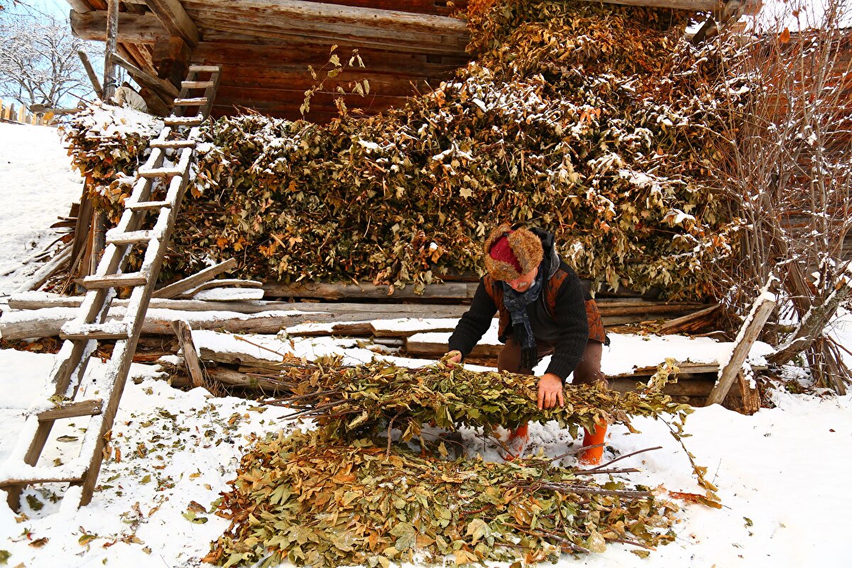 Köyde yaşayan erkekler, odun keserken, kadınlar ise ev işleriyle ilgileniyor. Köyün kadınları, tüplü ocakları nadiren kullanıyor. Isınma ve ocak olarak odunlu kuzine kullanılıyor. Bölgedeki sobacıların yöreye özel olarak yaptığı sobalar, kışın köylülerin en önemli ev eşyası haline geliyor. Üzerinde yöresel yiyeceklerini pişiren köy kadınları, meşhur Maden köyü patatesini de yine kuzine sobasında pişirip, çayla birlikte tüketiyor.