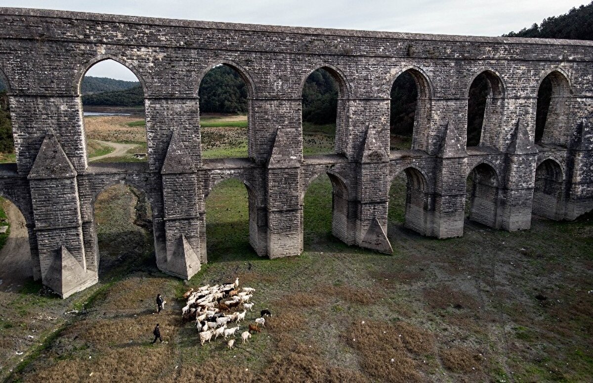 Görüntülerde suların çekildiği alanda koyunlar otlarken, barajın zemininde oluşan kuraklık ise korkunç tabloyu bir kez daha gözler önüne serdi.
