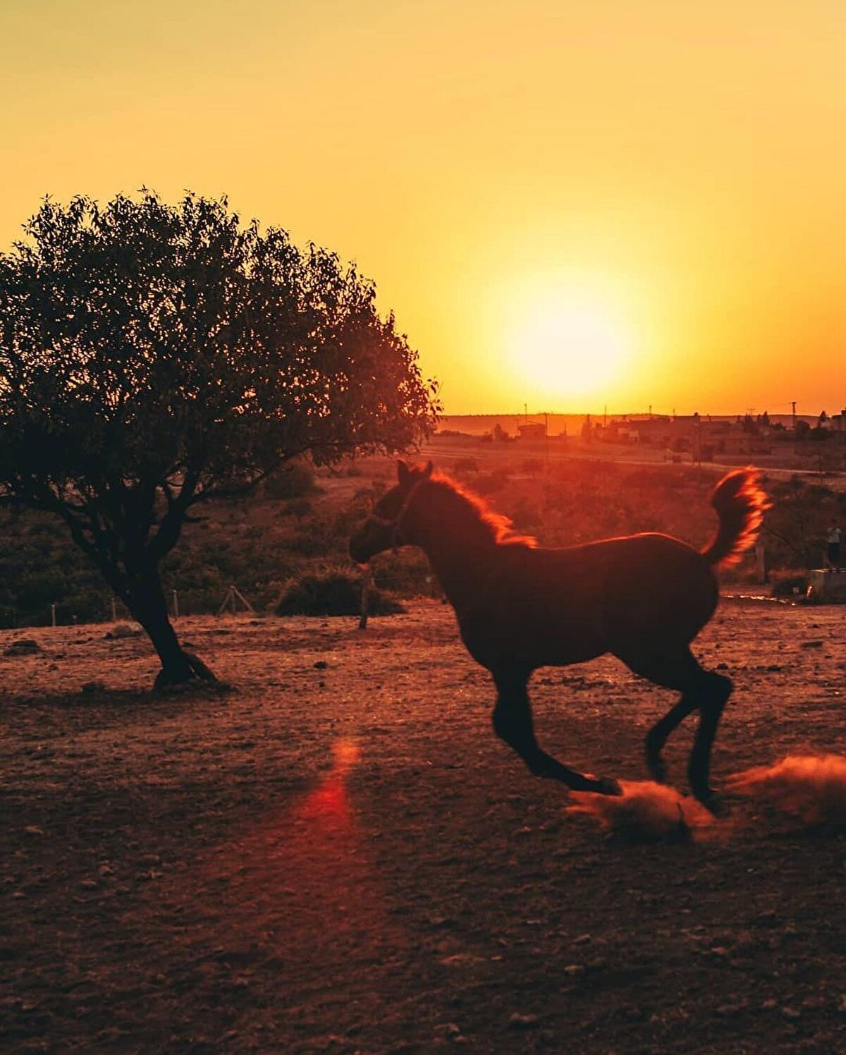🇹🇷 I. Dünya Savaşı'na kadar Osmanlıların elinde olan Urfa, 1919 yılında önce İngilizler, daha sonra da Fransızlar tarafından işgal edilmiştir. 11 Nisan 1920'de düşman işgalinden kurtarılmış, 1924'te ise il olmuştur.