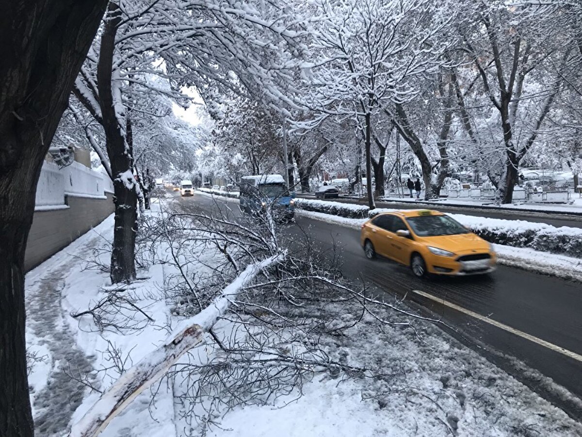 Tutunmanın zor olduğu karlı zeminlerde araç kullanan sürücüler ani gaz ve fren hareketlerinden uzak durmalıdırlar. Yapılacak her ani veya sert hareket, patinaj ve kayma problemi ortaya çıkacaktır. Gaz ve fren pedalları çok yumuşak kullanılmalıdır.