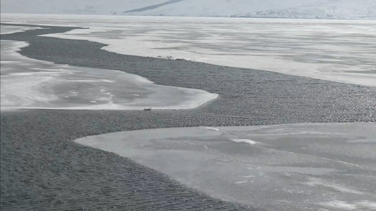 Yaşanan olay karşısında büyük şaşkınlık yaşadıklarını ifade eden bir başka bölge sakini ise durumu "Kıyamet alameti" olarak nitelendirdiklerini ifade etti.