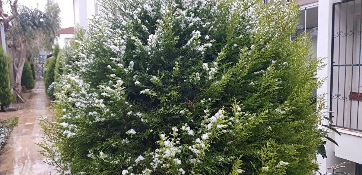 Kuşadası İlçe Emniyet Müdürlüğü yetkilileri, sürücüleri şehir içi yollarda meydana gelebilecek don ve buzlanmalara karşı dikkatli olmaları için uyardı.