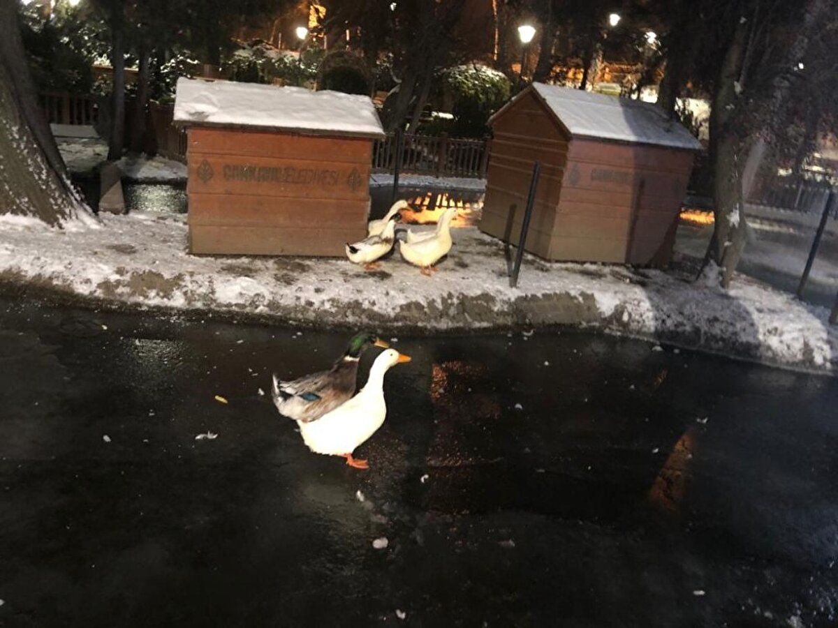 Meteoroloji Genel Müdürlüğü'nden yapılan hava tahminlerine göre soğuk hava etkisini gün içerisinde de devam ettirecek. Hava sıcaklığı ise gün içerisinde en yüksek sıfırın altında 4 derece olarak hissedilecek.