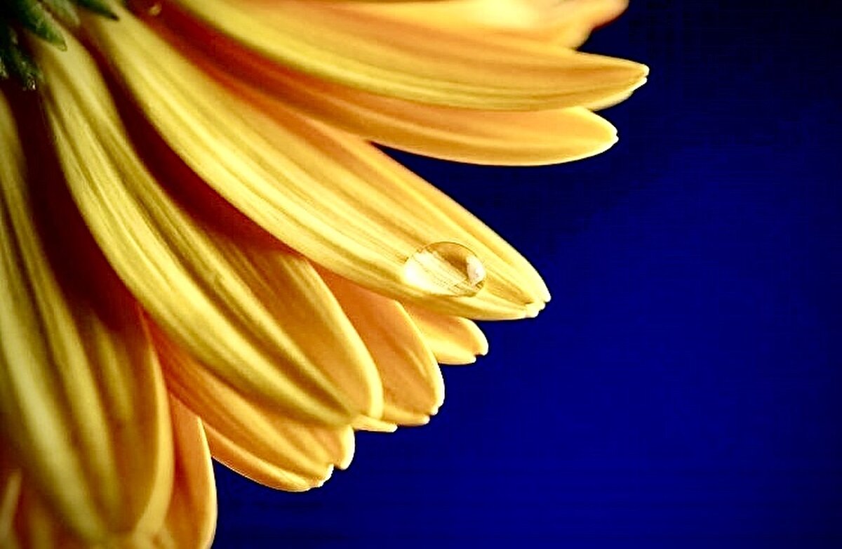 Mehmet Ali Kıratlı