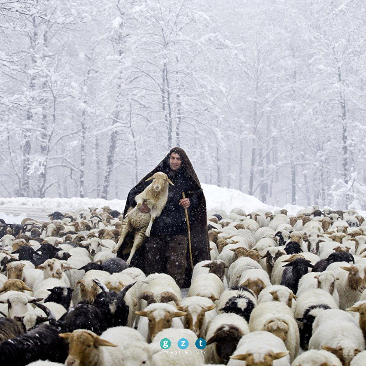 İran (Ebrahim Noroozi)