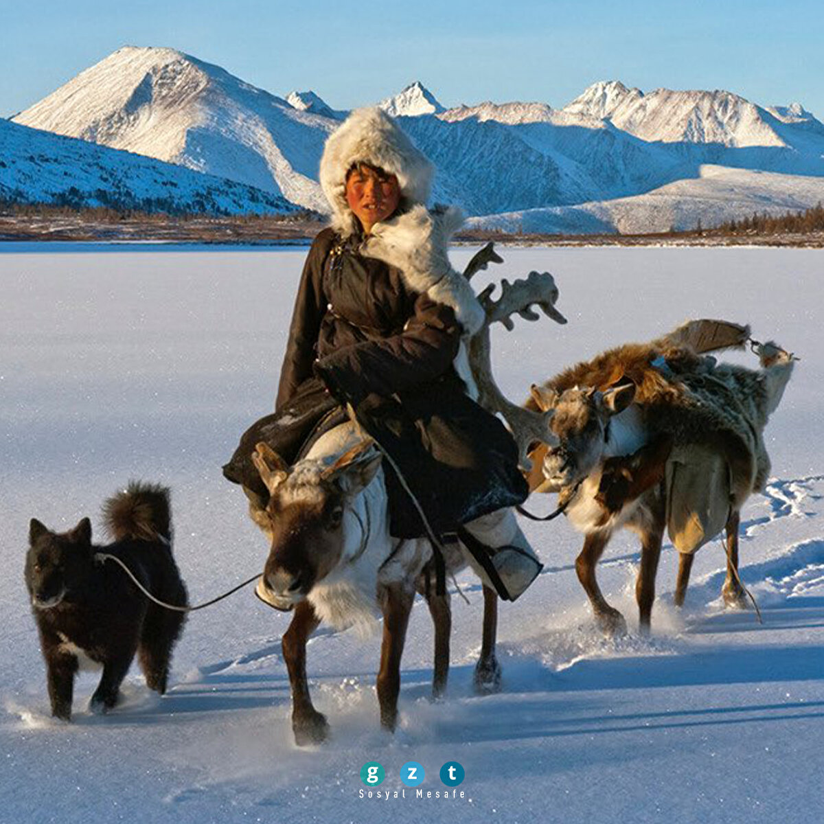 Moğolistan (Hamid Sardar-Afkhami)