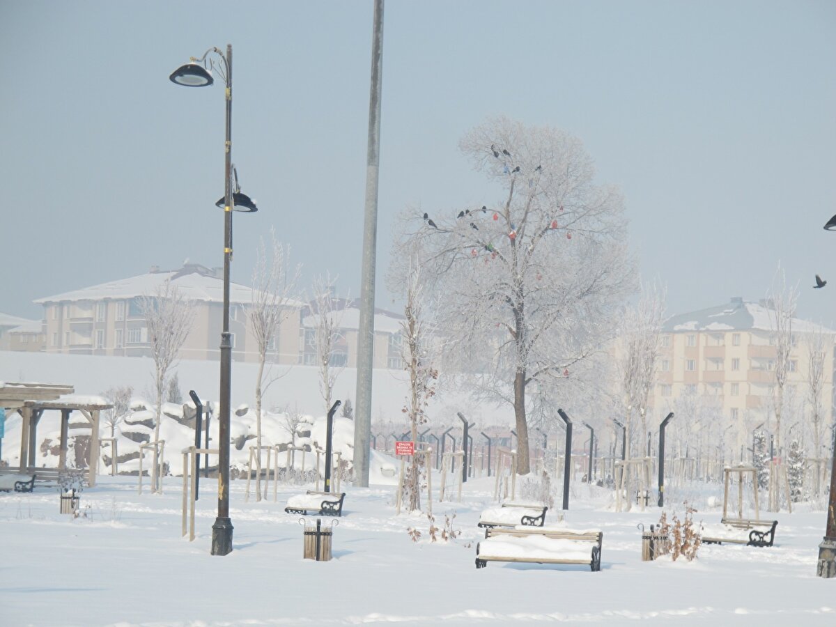 Kar yağışının etkisini kaybettiği Ardahan da Sibirya soğuklarının etkisi altına girdi. Yapılan ölçümlere göre, ilde en soğuk yerleşim birimi, sıfırın altında 30.3 derece ile Göle ilçesi oldu. Termometreler, Çıldır'da eksi 25.8, Hanak'ta eksi 23.6, Damal'da eksi 22.5, Posof'ta eksi 15.4 dereceyi gösterdi. Ardahan kent merkezinde ölçülen en düşük sıcaklık ise sıfırın altında 23.7 derece oldu.
