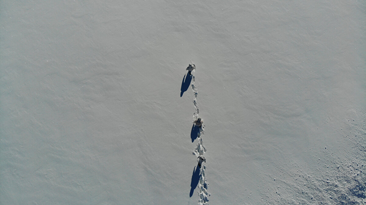 Koronavirüsün yayılmasını engellemek için karlı yollarda çalışma yürütmenin onur ve gurur verici olduğunu belirten Tunceli Filyasyon Sorumlusu Dr. Ece Esma Türkel, "Talimatları en iyi şekilde yürütmeye çalışmaktayız. Vaka sayılarımız alınan kararlar, filyasyon çalışması mücadelemiz ve hafta sonları sokağa çıkma kısıtlamalarıyla bayağı düştü. Fakat bununla birlikte vatandaşlarımızda ve bizlerde bir rehavet oluşmasın. Yer yer eksi 20 derecede ve kar kalınlığının 2 metre olduğu yerlerde filyasyon çalışmalarımızı zorluklara rağmen yürütüyoruz. Vatandaşlardan isteğimiz, bizler filyasyon çalışmasını yürütürken temaslı kişi bilgilerini bizlere eksiksiz bildirmesidir. Bu süreçte bize destek olunacak tek durum budur. Bizler ne kadar zorlu da olsa bu çalışmaları yürütmekten oldukça gurur ve onur duyuyoruz” dedi.
