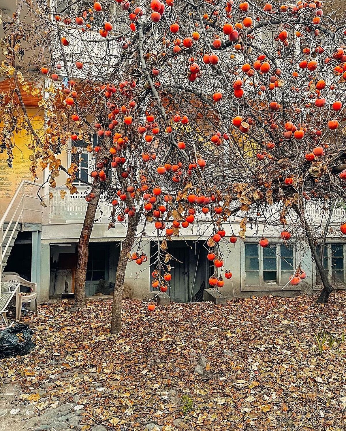 Tiflis, bünyesinde eski zamanlardan kalma çok sayıda kilise barındırıyor. Yaşamı boyunca Ortodoks inancının önemli merkezlerinden biri olmuş olan Gürcistan topraklarında bulunan bu yapılar Tiflis ve çevresinde yoğunluk kazanıyor.