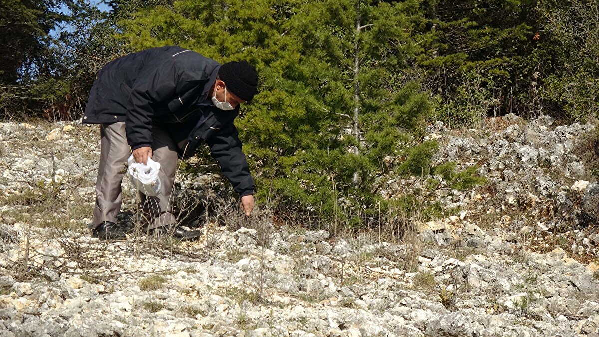 Şifa dağıttığını öne süren çiftçinin evinin önündeki kuyruk ‘Doktor Civanım’daki sahneyi hatırlattı