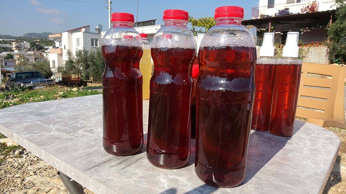 Erdemli Çevreyolu Aile Sağlığı Hekimi Dr. Mustafa Ajlan Uçar, uzman olmayan kişiler tarafından üretilen bu tür bitkisel karışımların mutlaka bilimsel incelemeye tabi tutulması gerektiğini belirtti. Dr. Uçar, bu kişilerin ellerindeki karışımı çevredeki insanlara dağıtmadan önce Sağlık Bakanlığı'na bildirmesinin şart olduğunu ifade etti. Modern tıp tekniklerinin kanıta dayalı olduğunu dile getiren Uçar, "Alternatif tıpta ise bu durum yok. Bir şey sağlığa iyi geliyor diyorsanız bilimsel kanıtınız olmalıdır. Diğer türlü herhangi bir karışım sağlığınızı tehdit eder" dedi.