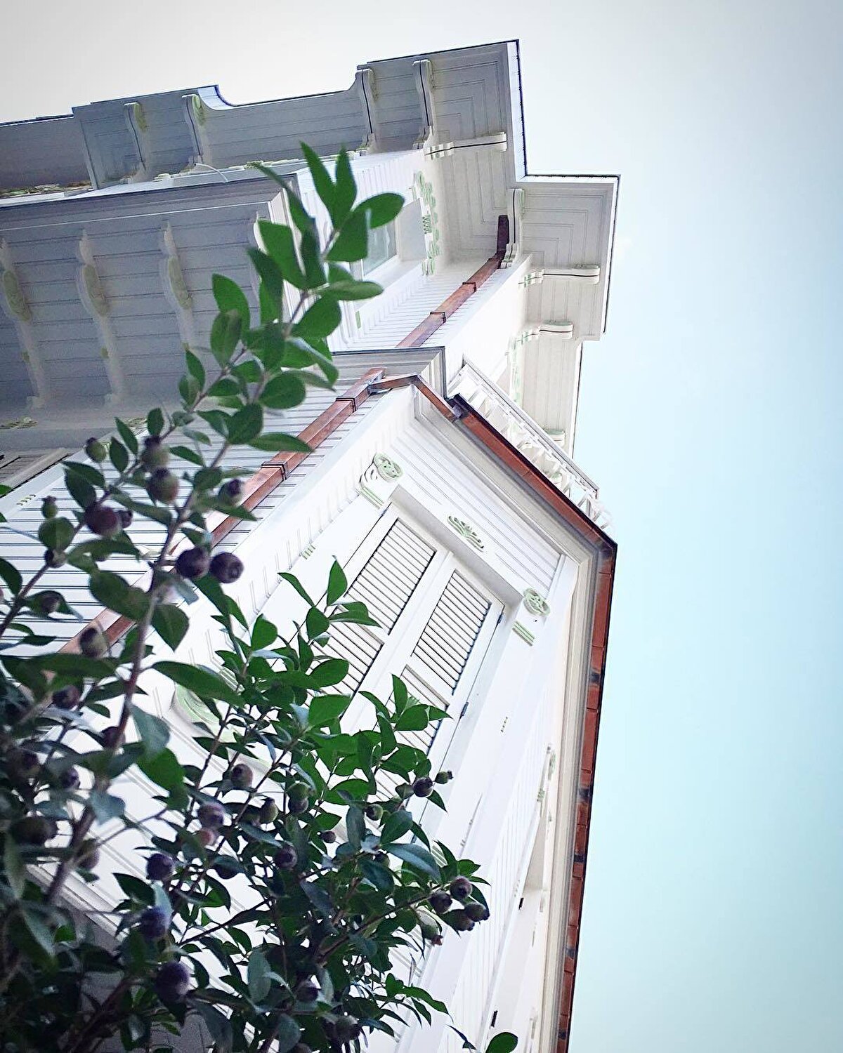 @ahsaptasarimuygulama