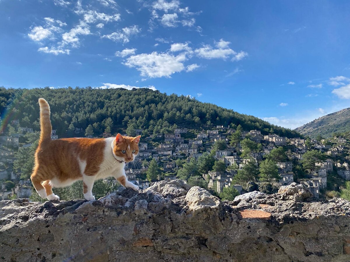 Bir tepenin yamacında kurulu olan ve birbirlerinin ışığı ve manzarasını engellemeyen Kayaköy'ün taş evleri, temiz hava ve doğanın yeşil dokusuyla bir bütünlük oluşturuyor.
