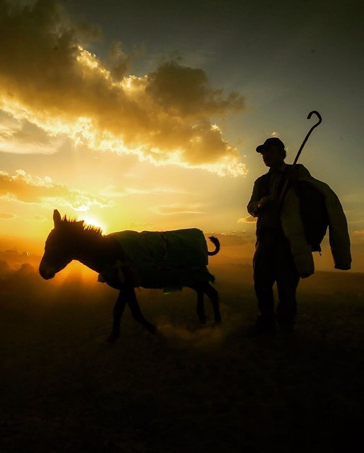 Tanzimattan sonra eyalet merkezi olan Van’da birçok tanınmış devlet adamı beylerbeyliği (valilik) yapmıştır. I. Dünya Savaşı'nda Ruslar tarafından işgal edilen Van, Türk ordusu tarafından 2 Nisan 1918’de işgalden kurtarıldı. Van bölgesi Cumhuriyet Dönemi’nde aynı ismi taşıyan ilin merkezi olmuş, 1950’den sonra da hızla gelişmeye başlamıştır.⠀