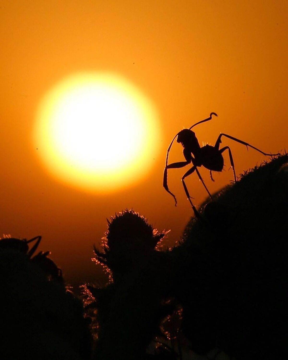 1071'deki Malazgirt Zaferi’nden sonra bölge Türklerin eline geçti. Selçuklu Devleti'yle Türkleşen Van ve civarı Osmanlı hakimiyetine kadar çoğunluğu Türk olan çeşitli devlet ve beyliklerin hakimiyeti altında kaldı. Yavuz Sultan Selim bu bölgeyi fethettiyse de Çaldıran seferinden sonra Safevîler bu bölgeyi tekrar ele geçirdiler.