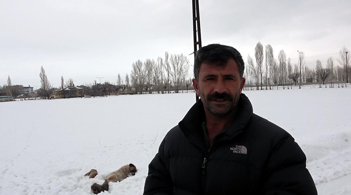 Mahalleliden Seyfullah Kasımoğlu, köpeğin 2 gün arayla donan 2 yavrusunun başında 5 gündür beklediğini belirterek, Yol ortasında yavru köpek olduğunu gördüm. Biraz yaklaştığımda öldüğünü fark ettim. Çok kötü oldum, çok üzüldüm. Anne köpek yavrusunun başında öylece bekliyordu. Köpeği merak ettiğim için birkaç saat sonra evden gelip görmek istedim ama yerinde değildi. Anne köpek, eksi 20 derece soğukta donan başka yavrusunu daha getirip, diğer yavrunun yanına bırakmış. Şu an ölen yavru köpek sayısı 2´ye yükseldi. Anne köpeğin 2 yavrusunun başında beklemesi 5'inci güne girdi. Saniye bile yavrularının başından ayrılmıyor. Biz de köpeğe yiyecek bırakıyoruz. Çok zor bir durum bu, herkesi duygulandırdı diye konuştu.  