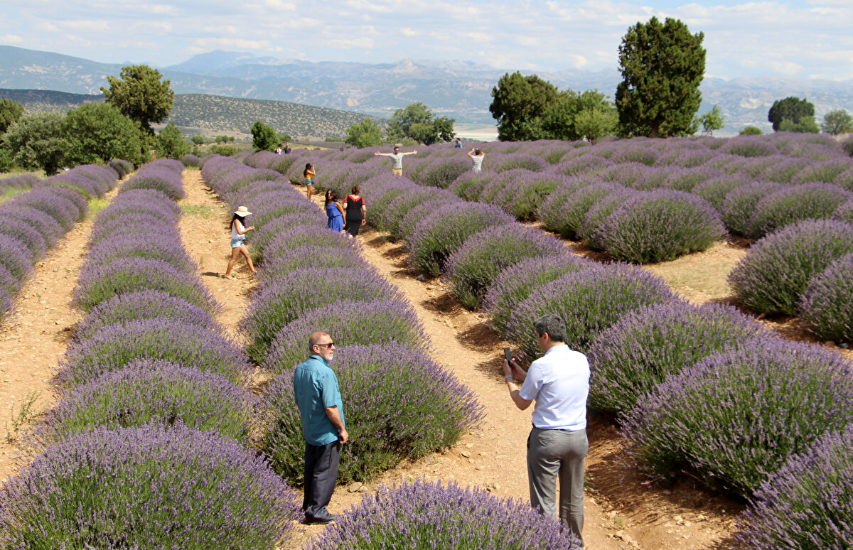 Köyde şu ana kadar izolasyon veya karantina da uygulanmadı. Koronavirüsle mücadelede tüm tedbirlerin alındığı köyde sakin bir hayat geçiyor. Muhtarlık ise tüm bunlara rağmen tedbirleri elden bırakmıyor. Köy camiinde sürekli koronavirüs tedbirleri kapsamında anons yapılıyor. Vatandaşların maske ve mesafe kuralına uymaları isteniyor.