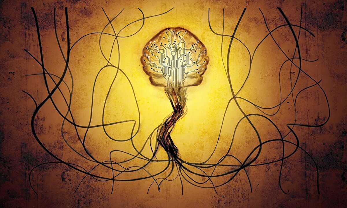 (2+3+3+3) Sosyal ve görsel zeka: Yüksek hayal gücüne sahiptirler. Boşluk ortamlarında bile yol-yön bulabilme becerisine sahiptirler. Resim, heykel gibi alanlarda kendini gösterme eğilimindedirler. Çok güzel resimler yapabilirler. Uzayda bulunan nesnelerin aralarındaki etkileşim ve ilişkiyi anlamlandırabilme becerilerine sahiptirler. Resim yaparak, daha etkili öğrenirler. Neredeyse bütün sanatsal faaliyetlerden keyif alırlar. Motif, desen, şekil çizme konularında oldukça iyidirler. Harita kullanarak çok iyi yön bulabilirler. Yol bulma ya da puzzle gibi oyunlardan zevk alırlar. Bir kez gördükleri insanların yüzlerini kolayca hatırlayabilirler. Ziyaret ettikleri yerleri sadece 1 kez gitmiş olsalar bile- çok kolay anımsayabilirler.