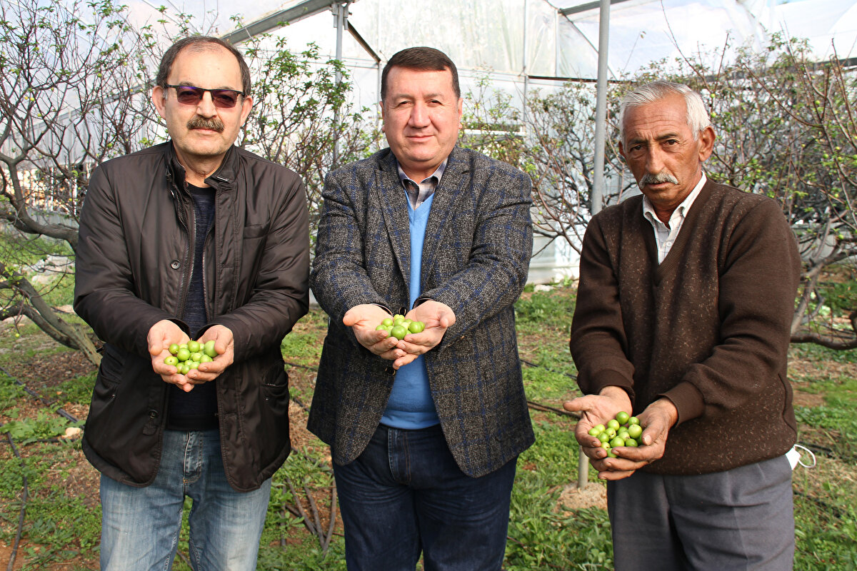 Can eriği hasadının erken yapılmasının nedenini iklim değişikliğine bağlayan Ziraat Mühendisi Mustafa Besili, “Türkiye artık iklim değişikliğine gidiyor. Akdeniz iklimi yerine yarı kurak bir iklime doğru gidiliyor. Artık bundan sonra bütün üreticilerin bunu dikkate alması gerekiyor. İklim değişikliğinin yaşanması ile birlikte birçok ürün artık normal mevsiminden önce hasat edilebiliyor. Can eriği hasadının normalde mart ayının başlarında yapılması gerekiyordu ama havaların sıcak olması nedeniyle hasat zamanı öne alınmış oldu” ifadelerini kullandı.