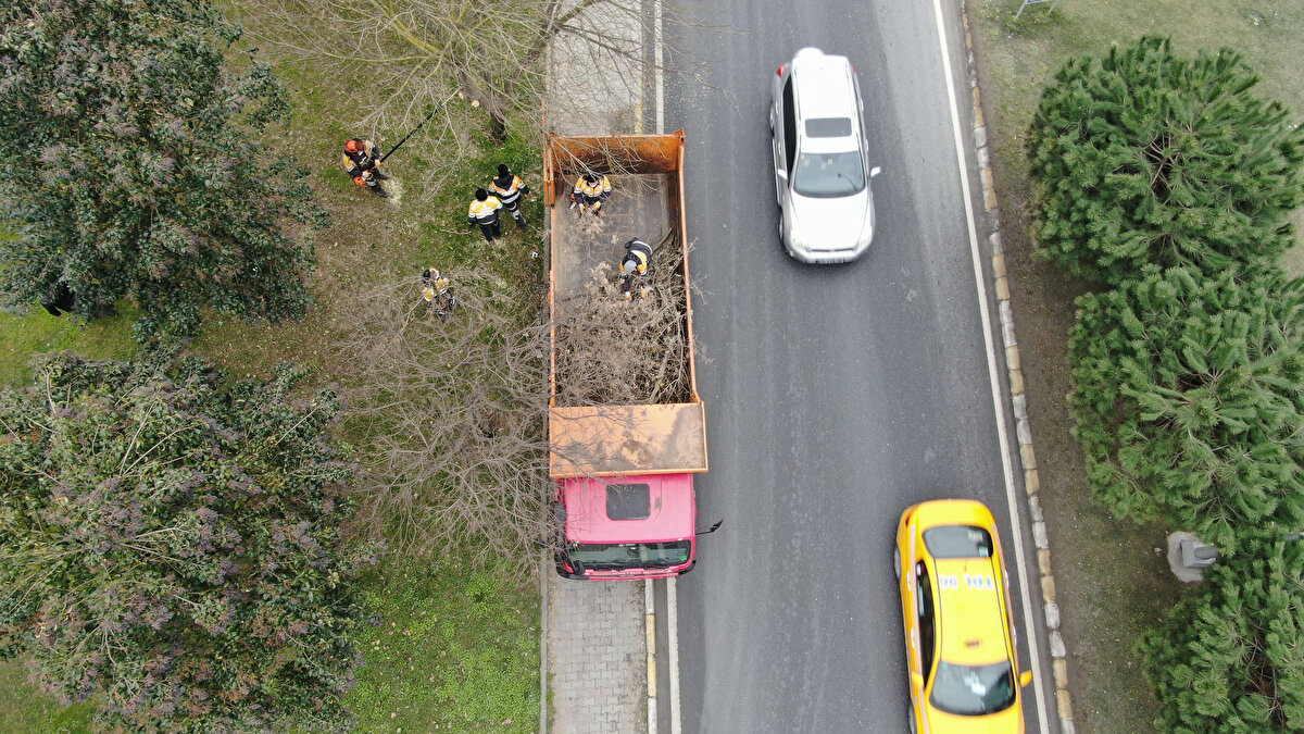 Teke böceği ile mücadele eden ekipte yer alan İstanbul Büyükşehir Belediyesi Avrupa Yakası Park ve Bahçeler Müdürlüğü Zirai Mücadele Şefi Hale Günkut yaptıkları işlemler hakkında bilgi verdi. Hale Günkut, “Bu böceğin zararını larvası veriyor. Ağacın içerisinde odun dokusunda beslenerek ağacın kurumasına sebep oluyor. Teke böceği ile mücadele kapsamında bu yıl için 180 tane ağacı kestik. Şu anda Sultangazi’de kesiyoruz. Bunun öncesinde Fatih’te, Gaziosmanpaşa’da, Zeytinburnu’nda birçok alanda ağaç kesimi yaptık ve devam edeceğiz. Bu sene için daha yolun başındayız. Şu ana kadar larvaların olduğu 800 küsur ağacımız var. Bu rakam artabilir. Bu çalışma ilçe belediyelerle ortaklaşa yaptığımız bir çalışma ve bize onlardan da dönüş oluyor. Tarım ve Orman Bakanlığı bizi bu çalışmalarda denetliyor” dedi.
