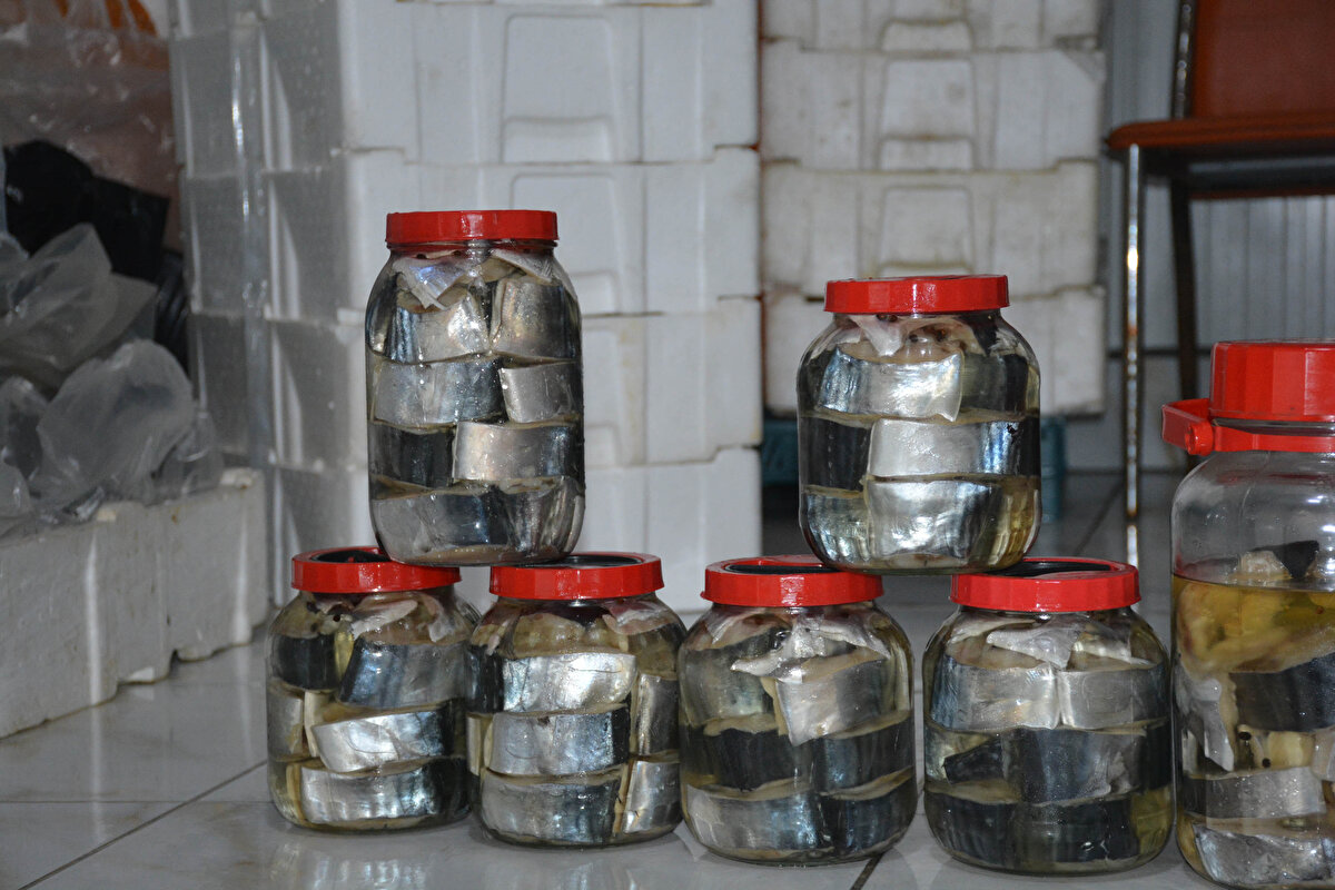 Karadeniz'de bolluğu yaşanan palamut, tezgahları şenlendirdi. Palamut bol olunca Sinoplu balıkçılar, lakerda yapımına da başladı.