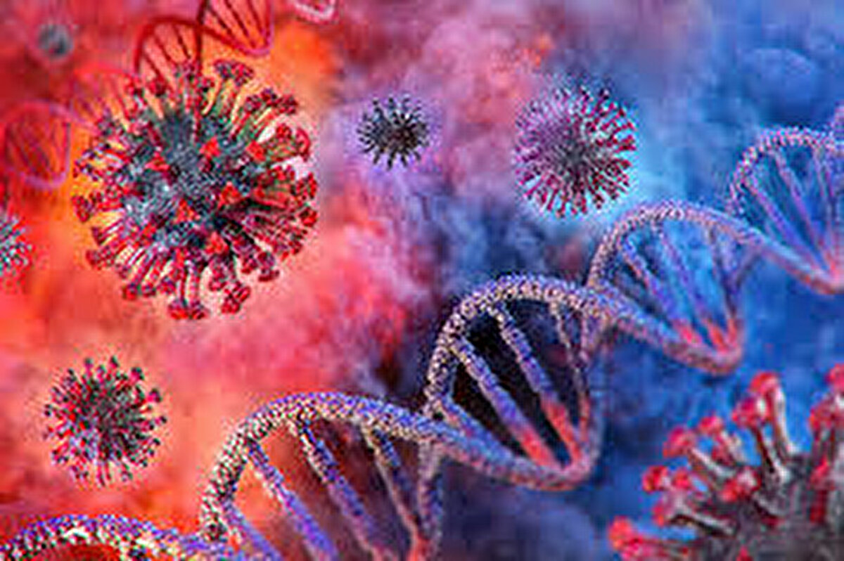 Klein konuya ilişkin yaptığı açıklamada, “Yeni tip koronavirüs salgını, hastalıkların farklı cinsiyetleri nasıl etkilediğine dair tartışmaları son derece değiştirdi. Umudum, salgın sonrası bu anlayışın devam etmesi. Çünkü hastalığın kadınları ve erkekleri nasıl etkilediğini anlayabilirsek, onları tedavi etmemiz de daha kolay olur” dedi.