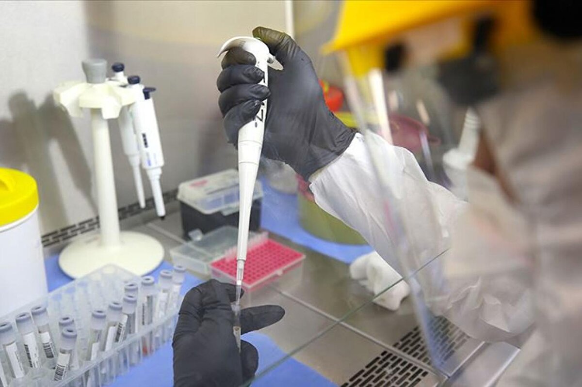 London College Üniversitesi tarafından yürütülen “Cinsiyet, Toplumsal Cinsiyet ve COVID-19” projesi tarafından toplanan veriler, erkeklerin hastaneye kaldırılma olasılığının kadınlardan yaklaşık yüzde 20 daha fazla olduğunu gösterdi.