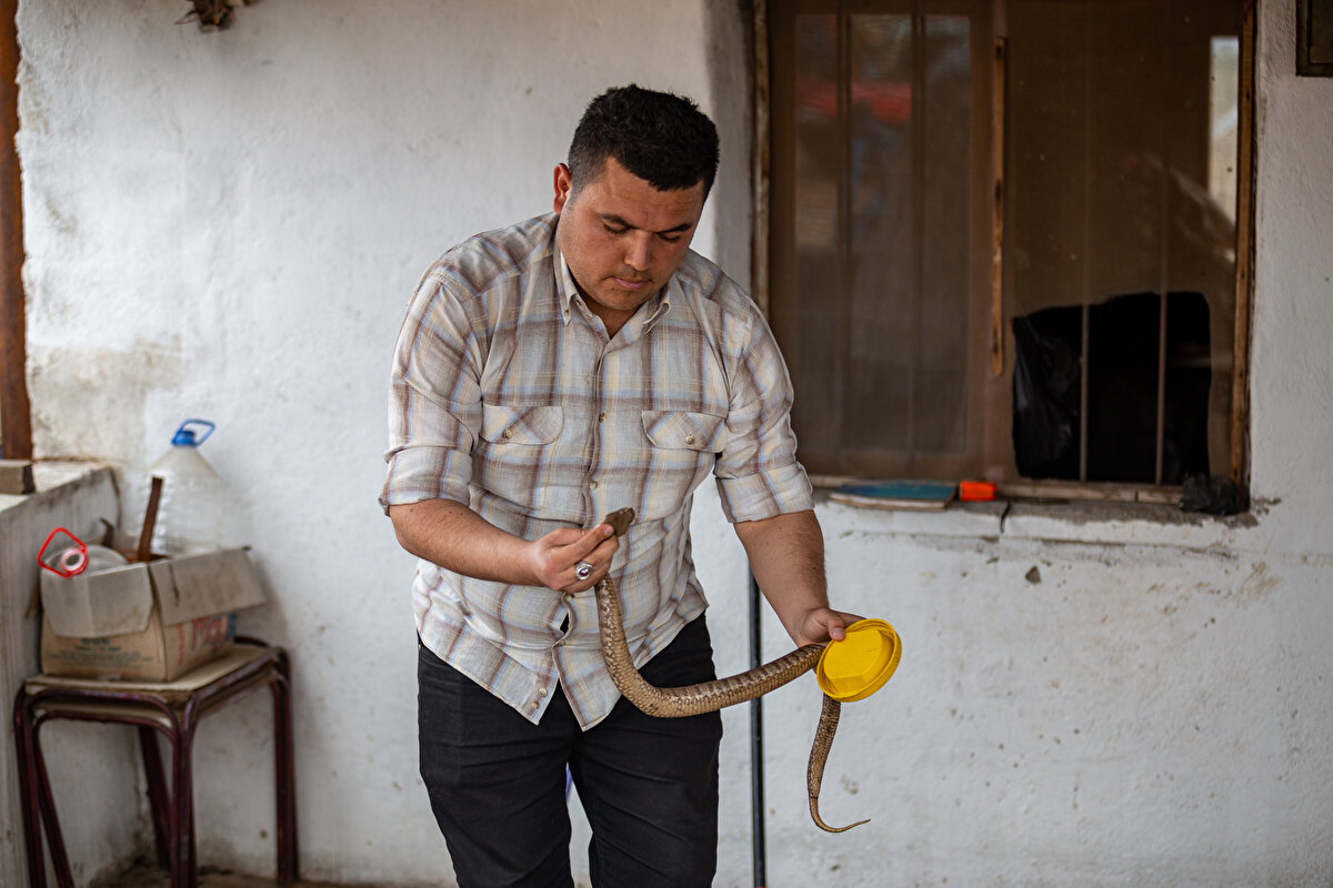 Hassa ilçesinde 'Yılancı Mustafa' olarak tanınan Mustafa Göktürk, Amanos Dağları'nın eteklerindeki kırsal mahallelerde evlere giren yılanları, ucu çengelli bir demir ve plastik maşayla yakalayarak doğaya bırakıyor. Vatandaşların ev, iş yeri ve ahırlarına giren yılanları 14 yıldır gönüllü yakalayan 29 yaşındaki Göktürk, tehlikeli olarak görülen bu işin aslında zor olmadığını belirtiyor.
