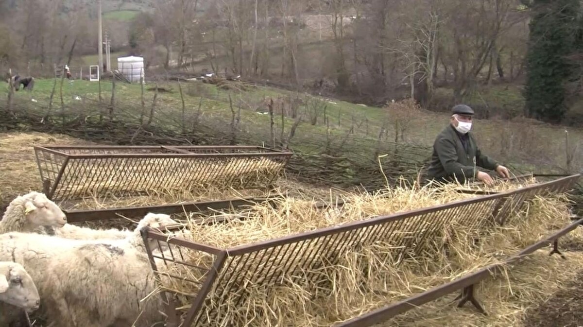 "Temmuz ve Ağustos aylarında dağlardan topladığımız kızılcık meyvelerini güzelce yıkıyoruz. Yıkadığımız kızılcığı kaynatıyoruz. Kaynattıktan sonra kızılcık meyvelerinin suyunu çıkartıp sıcak sıcak kavanozlara koyarak ağızlarını kapatıp, soğumaya alıyoruz. Tüketme zamanı geldiğinde ise kavanozların ağzını açıp, bir miktar kızılcık suyu bir miktar da üzerine su koyuyoruz. İsteğe göre şeker ekleyip yaz kış afiyetle içiyoruz. Ben salgında kızılcık hoşafının bizim için şifa olduğunu düşünüyorum. Hastalığa yakalanmama sebebini tüm mahalle halkının severek tükettiği kızılcık hoşafına bağlıyorum"