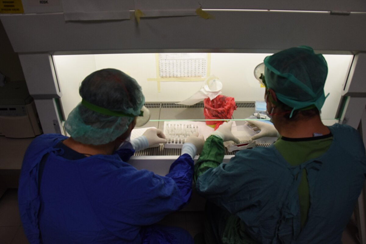 Eskişehir Yunus Emre Devlet Hastanesi PCR Laboratuvarı'nda pozitif vakaların mutasyonlu olup olmadığı da kontrol edilmeye başlandı. Kentte vakaların artış göstermesiyle sağlık çalışanlarının iş yükü de yeniden artmaya başladı.
