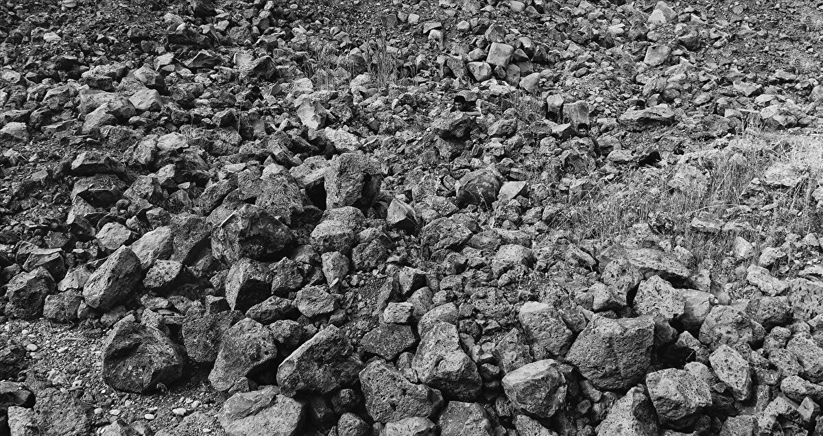 Locus Solus Sergisi: Selen Ansen’in küratörlüğünü üstlendiği, maden, bitki, hayvan ve insan varoluşları arasındaki ilişkileri tekrar düşünmeyi amaçlayan Locus Solus, nisan ayı boyunca Arter’te.