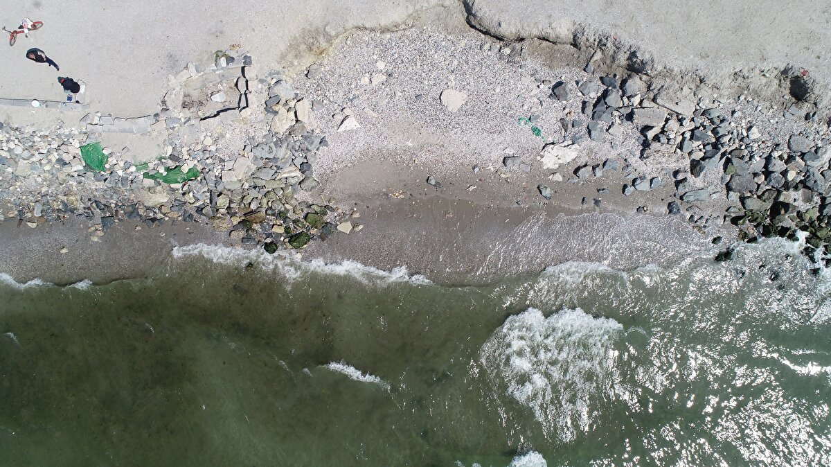 Konuyla ilgili açıklama yapan Meteoroloji uzmanı Dr. Öğr. Üyesi Güven Özdemir, "Özellikle Silivri, Bakırköy, Florya, Büyükçekmece ve Caddebostan sahillerinde çekilmeler görüyoruz. Bahar aylarında çok normal. Tahminen Mayıs ayı sonlarına kadar görmeye de devam edeceğiz. Korkulacak bir durum yok. Deprem habercisi olduğu düşüncesi yanlış" dedi.