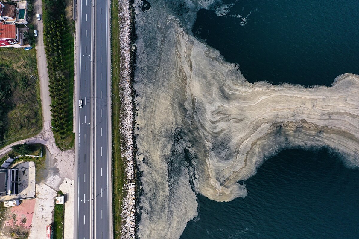 Kocaeli Büyükşehir Belediyesinin yazılı açıklamasına göre, Gölcük ilçesi Halıdere sahil kesiminde deniz yüzeyinde oluşan beyaz tabakayla ilgili inceleme yapıldı.