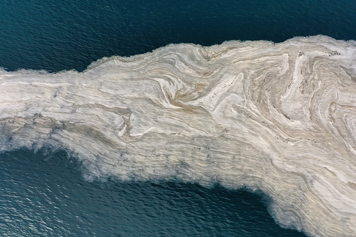 Bu kapsamda, durumun araştırılmasına yönelik TÜBİTAK-MAM ile çalışma başlatıldı. Analizler sonucu söz konusu durumun deniz salyasından kaynaklandığı anlaşıldı.