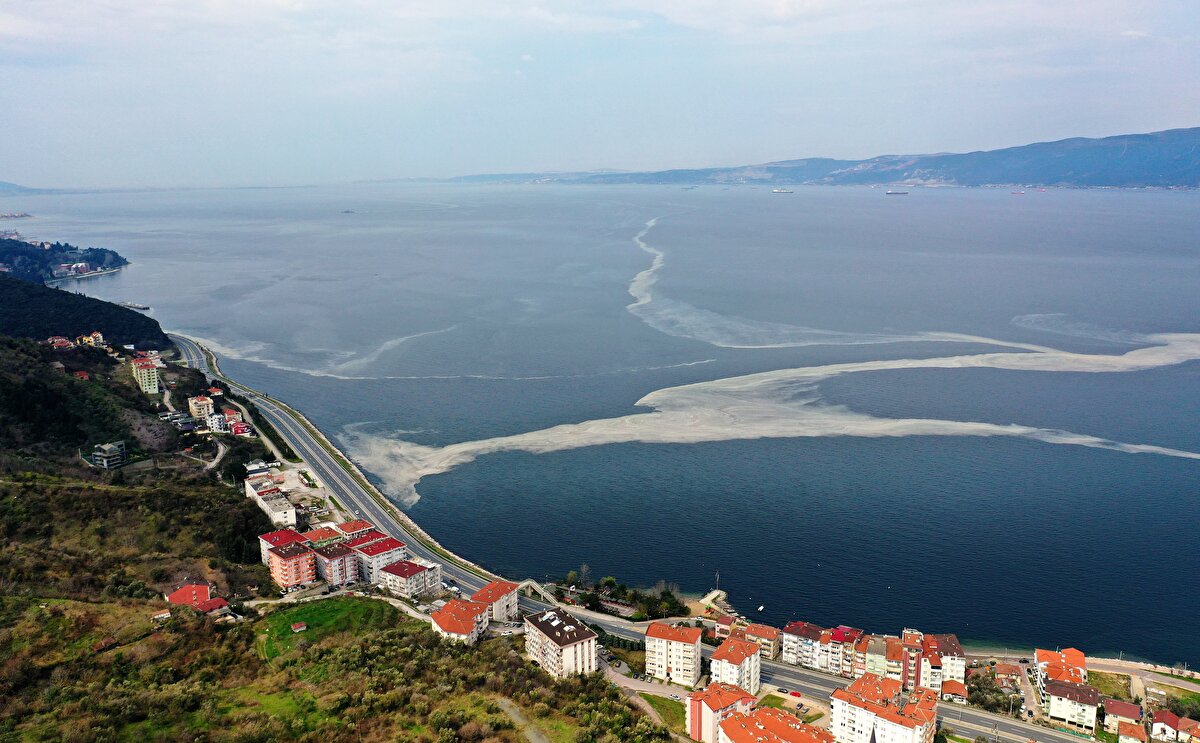 Müsilaj olayında, belirli tek hücreli bitkisel mikroskobik canlı türlerinin zamansız ve aşırı çoğalmalarını takiben hücre içi sıvılarının ortamda biriktiği, biriken bu organik maddenin fiziksel ve kimyasal etkenlerle bir araya gelerek yapışkan kütleyi oluşturduğu bildirildi.